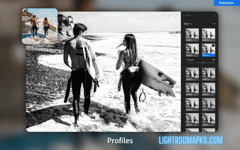 Lightroom app for pc and windows screenshot 1