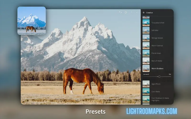 Lightroom app for pc and windows screenshot 2