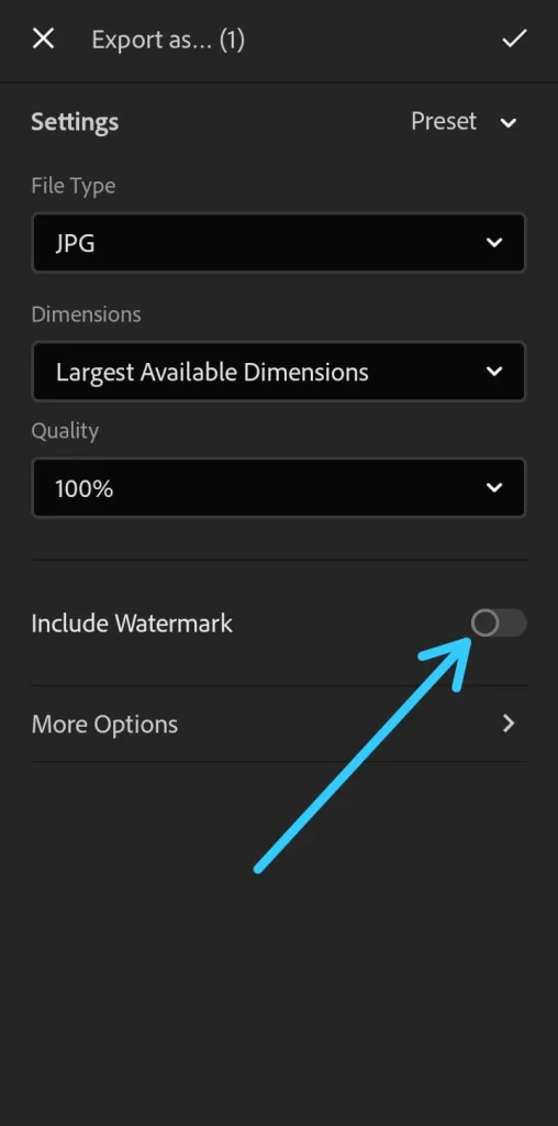 How to Create and Add Watermark in Adobe Lightroom 2024 [Android, iOS, PC]
